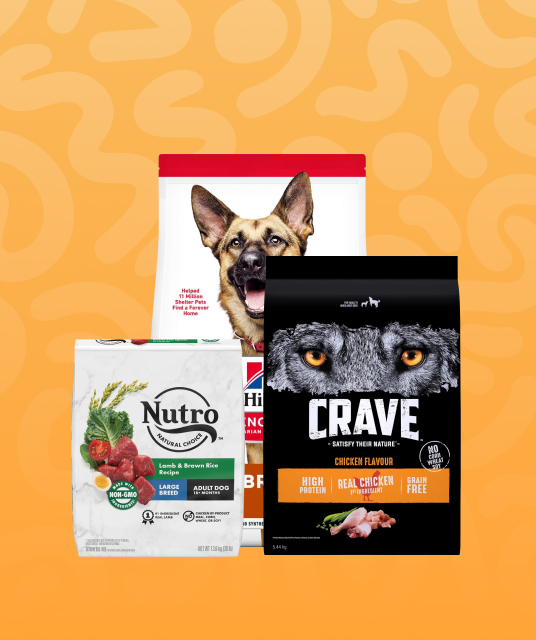 家族 お 揃い プレゼント 雑貨 - Professional Guide and Review