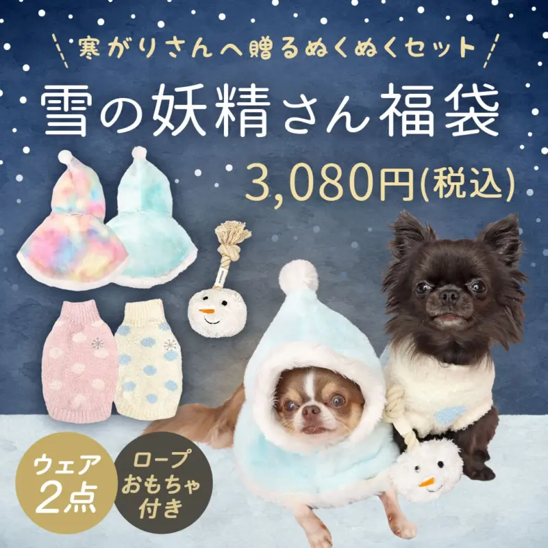 ドーム ハウス 値段 - Professional Guide and Review