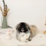 デンタルロープミニスノーマンぬいぐるみセット - 画像 (3)