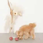 さくらんぼロープぬいぐるみ - 画像 (5)