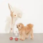 さくらんぼロープぬいぐるみ - 画像 (8)