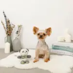 パンダさんギンガムチェックリボンぬいぐるみ - 画像 (3)