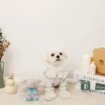 ぞうさんギンガムチェックリボンぬいぐるみ - 画像 (4)