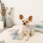 ぞうさんギンガムチェックリボンぬいぐるみ - 画像 (6)