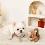 リスさんギンガムチェックリボンぬいぐるみ - 画像 (2)