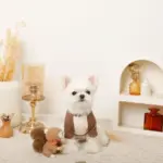 リスさんギンガムチェックリボンぬいぐるみ - 画像 (3)