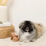 リスさんギンガムチェックリボンぬいぐるみ - 画像 (7)