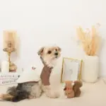 リスさんギンガムチェックリボンぬいぐるみ - 画像 (9)