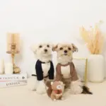 リスさんギンガムチェックリボンぬいぐるみ - 画像 (10)