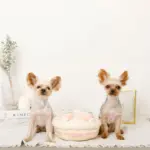 いちごのホールケーキノーズワークおもちゃ - 画像 (2)