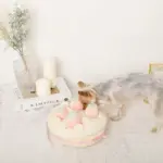 いちごのホールケーキノーズワークおもちゃ - 画像 (4)