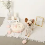 いちごのホールケーキノーズワークおもちゃ - 画像 (9)