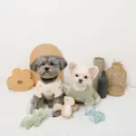 恐竜の仲間達おもちゃSET - 画像 (3)