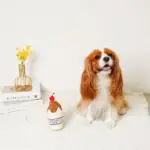 チョコレートホイップドリンクおもちゃ - 画像 (4)