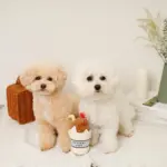 チョコレートホイップドリンクおもちゃ - 画像 (6)