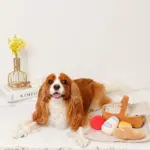 ピクニックセットのおもちゃ - 画像 (8)