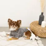 くび長ロープのあひるさん - 画像 (2)