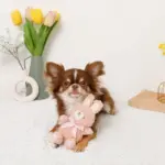 うさぎさんギンガムチェックリボンぬいぐるみ - 画像 (2)