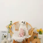 うさぎさんギンガムチェックリボンぬいぐるみ - 画像 (4)