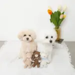 くまさんギンガムチェックリボンぬいぐるみ - 画像 (3)