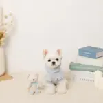 くまさんギンガムチェックリボンぬいぐるみ - 画像 (5)