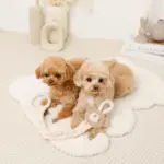 くまさんひっぱりロープおもちゃ - 画像 (2)