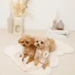 くまさんひっぱりロープおもちゃ - 画像 (5)