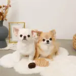 たいやきのおもちゃ - 画像 (2)