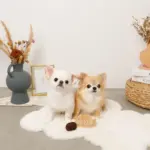 たいやきのおもちゃ - 画像 (6)