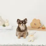 ひつじさんギンガムチェックリボンぬいぐるみ - 画像 (2)