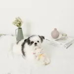 ひつじさんギンガムチェックリボンぬいぐるみ - 画像 (3)