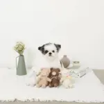 ひつじさんギンガムチェックリボンぬいぐるみ - 画像 (4)