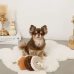 ノーズワークドーナツ型おもちゃ - 画像 (2)