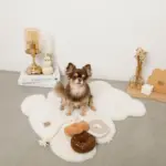 ノーズワークドーナツ型おもちゃ - 画像 (6)