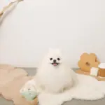 リングドーナツのおもちゃ - 画像 (3)