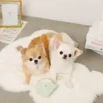 リングドーナツのおもちゃ - 画像 (5)