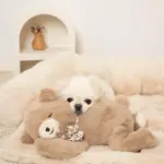 ねんねくまさんぬいぐるみ - 画像 (3)