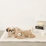 ねんねくまさんぬいぐるみ - 画像 (4)