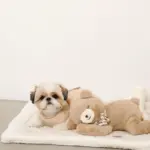 ねんねくまさんぬいぐるみ - 画像 (5)