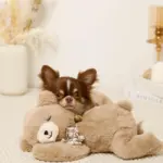 ねんねくまさんぬいぐるみ - 画像 (6)