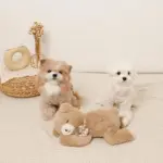 ねんねくまさんぬいぐるみ - 画像 (9)