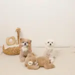 ねんねくまさんぬいぐるみ - 画像 (10)