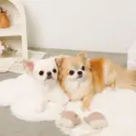 ミトンロープぬいぐるみ - 画像 (3)