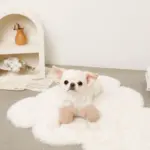 ミトンロープぬいぐるみ - 画像 (5)