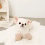 ミトンロープぬいぐるみ - 画像 (7)