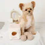 くまさんボールのノーズワークおもちゃ - 画像 (3)