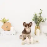 ノーズワークお花型ロープおもちゃ - 画像 (6)