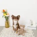 コーデュロイのくまさん - 画像 (6)