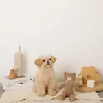 コーデュロイのくまさん - 画像 (7)