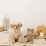 コーデュロイのくまさん - 画像 (8)